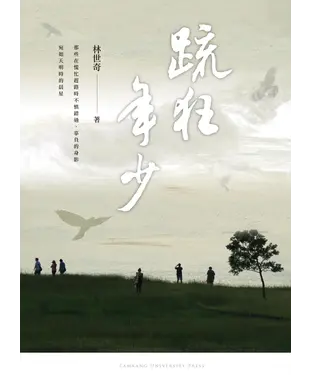 書封 疏狂年少